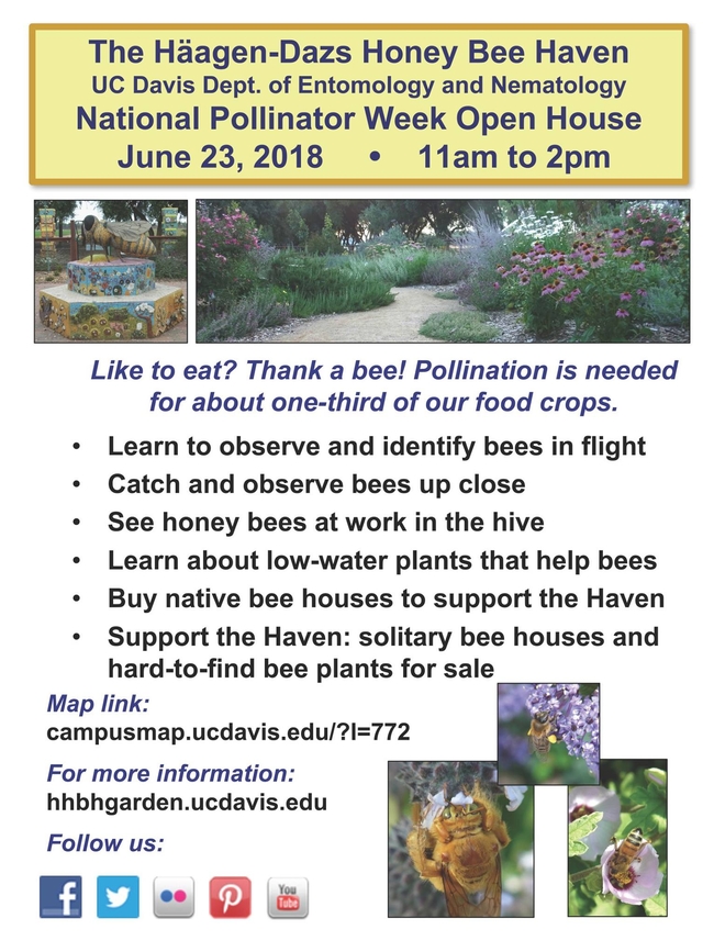 Häagen-Dazs Honey Bee Haven at UC Davis is hosting a plant sale and open house.