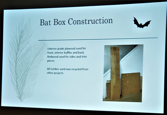 Lucich Tuleyome Bat Boxes