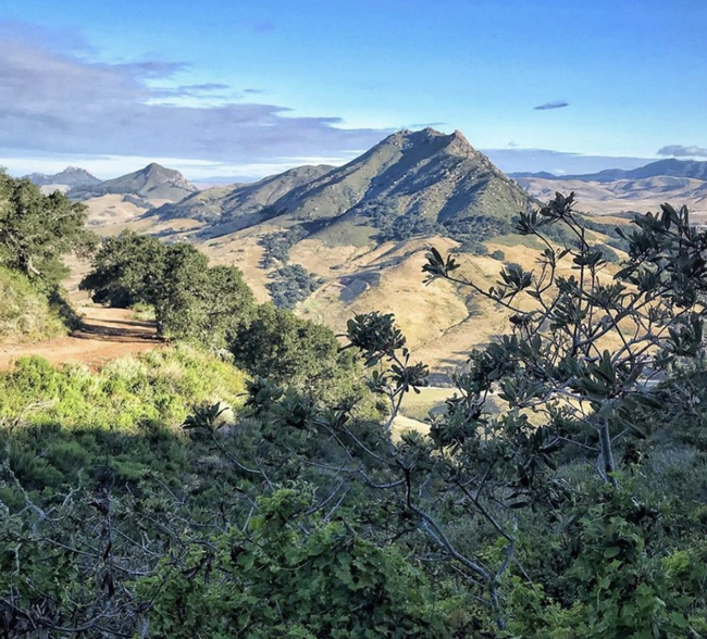 View of the mountain from The Land Conservancy of San Luis Obispo County