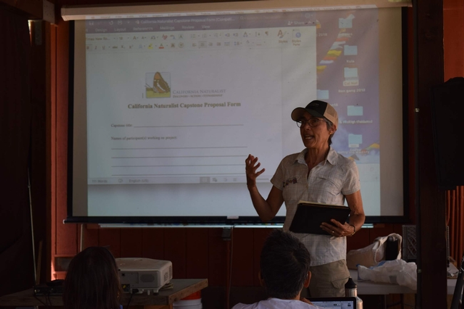 A co-instructor explains the requirements for a capstone project at the 2018 Sagehen Field Station course.