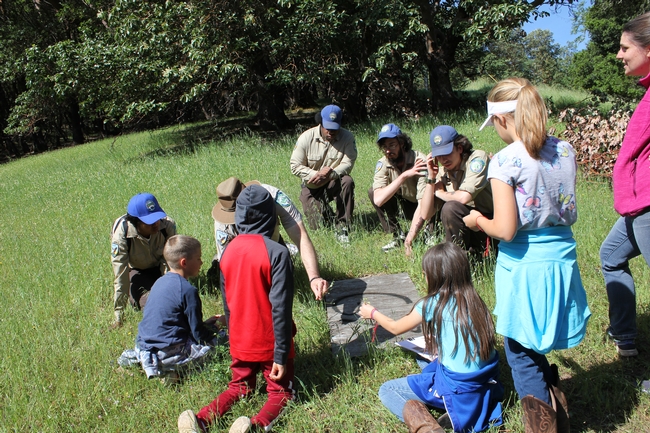 California Conservation Corpsmembers show a group of kids how to look for herpetofauna like salamanders and skinks under a coverboard in a field of grass.