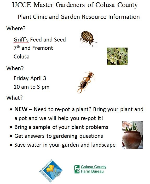 Plant Clinic flyer