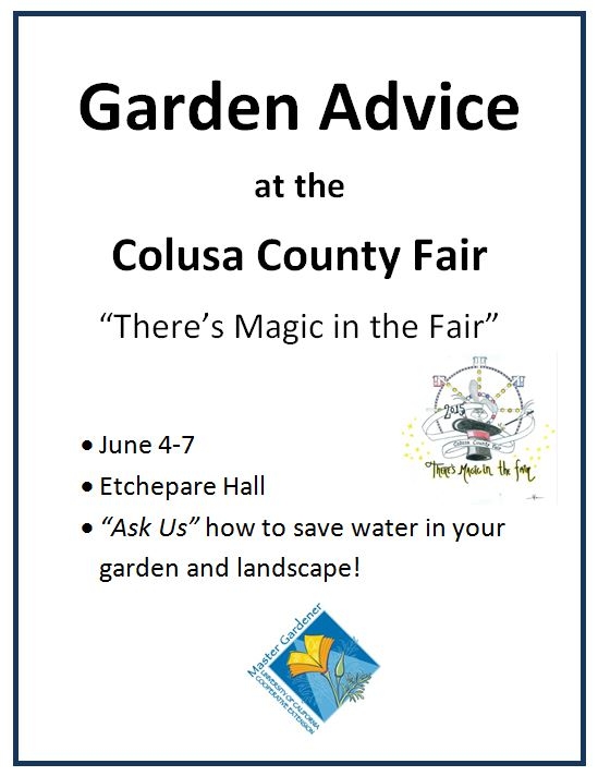 County fair flyer