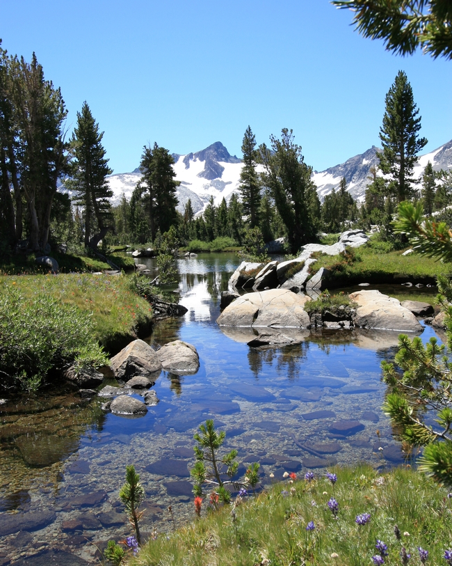 Ansel Adams Wilderness, California. Image by Dcrjsr / CC-BY-SA-3.0