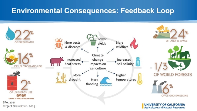 environment impacts