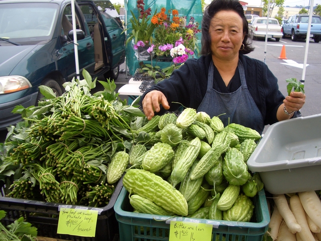 A Hmong farmer selling yam leaf and bitter melon at a farmers market.