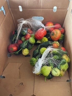 Frutas y verduras frescas cultivadas en la granja Fight Hunger fueron cosechadas y empacadas para su distribución a miembros de la comunidad por parte de Farm to Pantry, en Healdsburg, en julio del 2022. Fotografía por Mimi Enright.