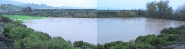 Composite photograph of a stormwater collection and managed recharge site in operation on an active ranch. This two-acre infiltration basin, located near Watsonville, CA, receives stormwater runoff from about 150 acres of farmland. The image above was taken during the largest storm in the 2015 Water Year. This site is instrumented to record precipitation, inflow, water levels, and infiltration rates and to collect samples to assess sediment load and maintenance requirements.