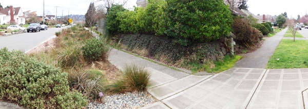Street-side stormwater facilities are becoming common sights in many urban areas. Photo by Igor Lacan.