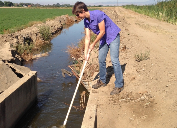 Farm advisor Michelle Leinfelder-Miles collects field samples in the Delta. Photo by Terry Pritchard.