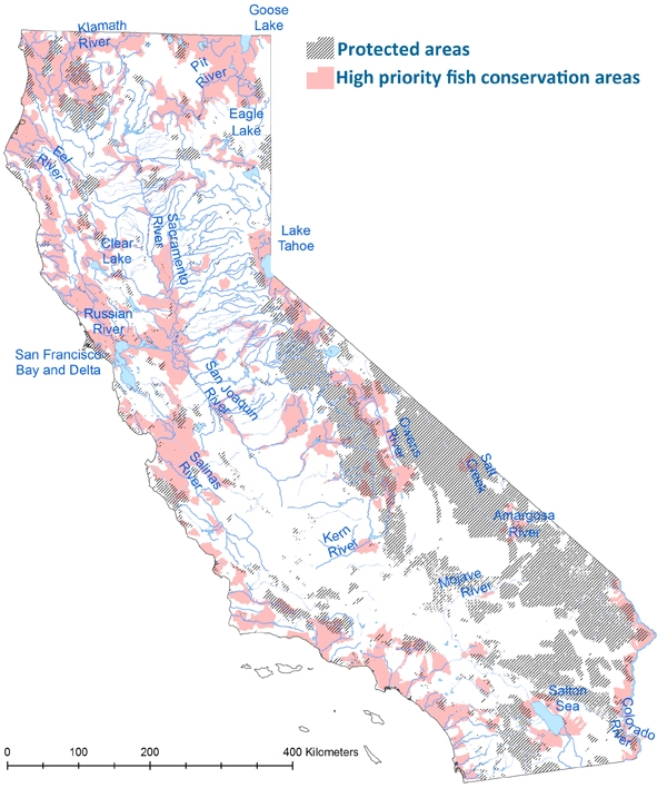 Scientists have identified high priority areas for native fish conservation across the state. Currently protected areas (in grey) do not necessarily match up with areas important to native fish.
