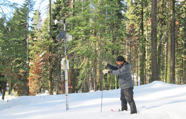 Dr. Safeeq measures snow depth at the Kings River Experimental Watersheds site in the Southern Sierra Nevada. Photo by Michelle Gilmore.