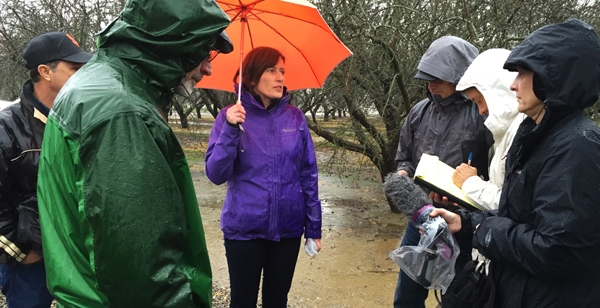 Groundwater will continue to be a big issue for California. Here, Helen Dalhke, CIWR Affiliate and UC Davis professor, talks with journalists about her groundwater recharge research.