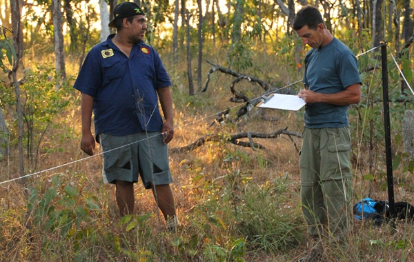 Don Hankins (right) sampling vegetation for a fire and biodiversity project in the Kaanju Ngaachi Indigenous Protected Area on the Cape York Peninsula, Queensland, Australia. Photo by Niki Michail.
