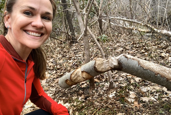 Emily Fairfax with a chewed tree, a signature sign of beaver activity.