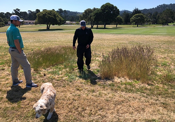 Golf course superintendents and their assistant stand among small research plots on a golf course in Monterey, CA. Photo by Maggie Reiter.