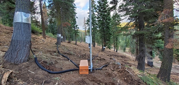 An instrumented forest restoration site in the Middle Fork of the American River Basin. Credit: Safeeq Khan.