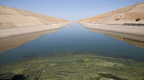 Coalinga Canal on the west side of the San Joaquin Valley during drought years. Photo by Kristine Diekman.
