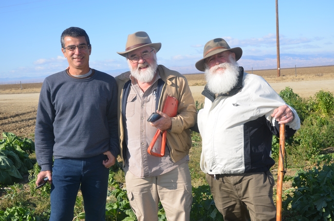 Roberto Botelho, Angus Wright, and Tom Willey (left to right) visit the NRI Project field in Five Points, CA, February 22, 2018