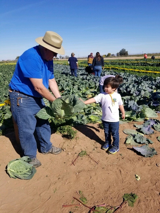 Farm Smart volunteer, Marty Fitzurka, helps participants pick vegetables in the U Pick garden