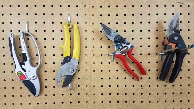 Left to right-ratchet, anvil, 2 types of bypass hand pruners, J. Alosi