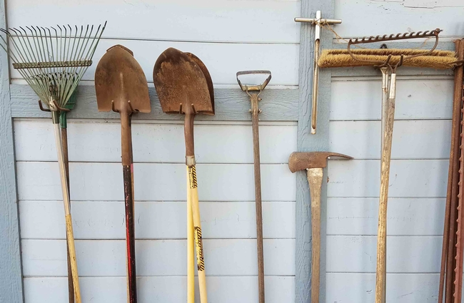 Garden tools carefully stored, J. Alosi