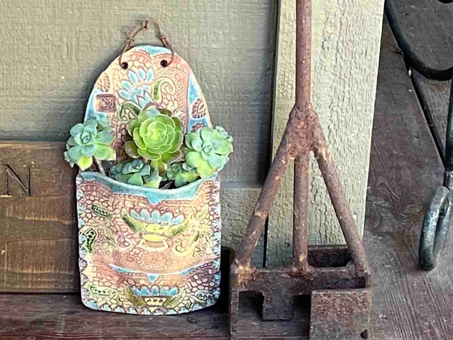 Succulents peek out from pottery. Debi Durham