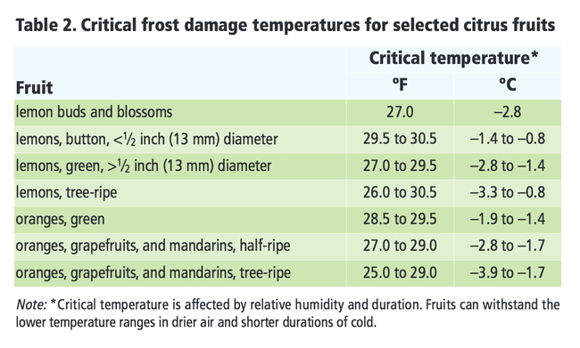 Frost damage temperatures for selected citrus. UC ANR