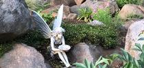An angel (or fairy) sculpture creates a pleasant accent in this calming rock garden area. Debi Durham for The Real Dirt Blog Blog