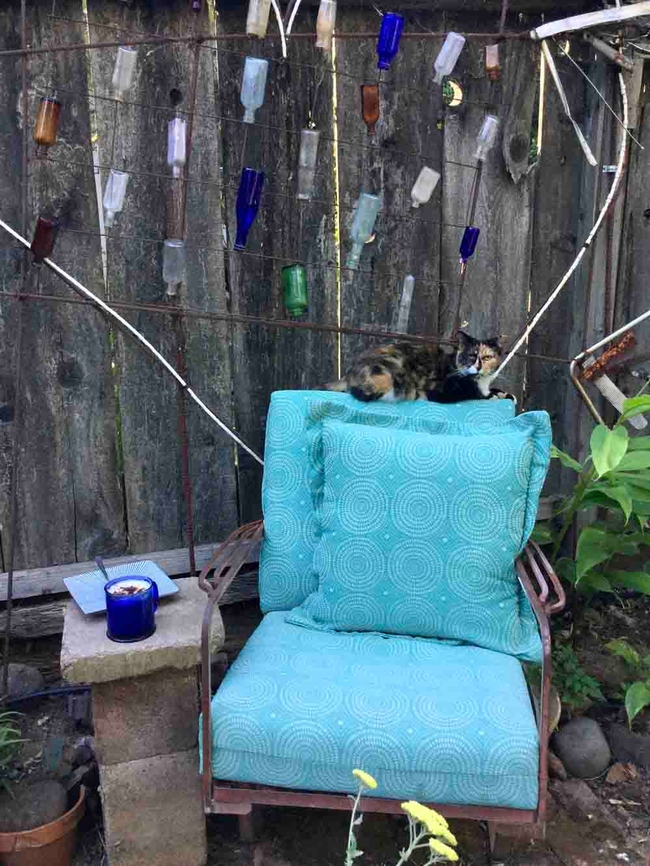 A comfortable chair in a secluded part of the home garden, complete with bottle art, cat, and a warm drink, makes for a peaceful start to the day. Laura Kling