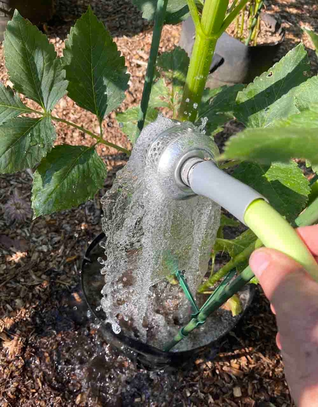 Bubblers like this one quickly deliver water to plants without disturbing the soil. Alton Wright