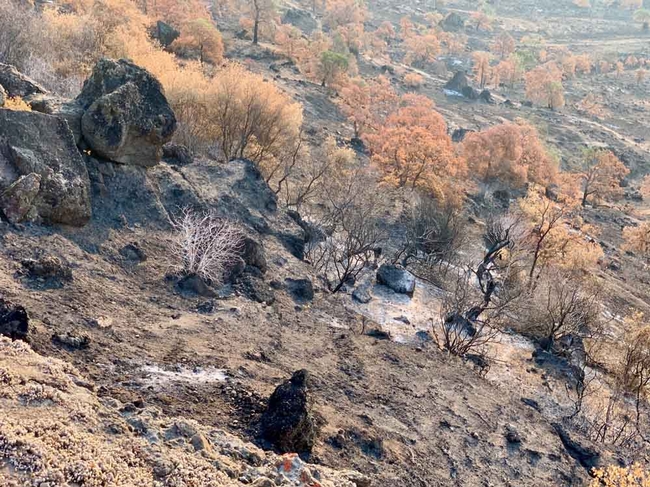 Upper Bidwell Park fire, 2021. Hot fires may result in hydrophobic soils