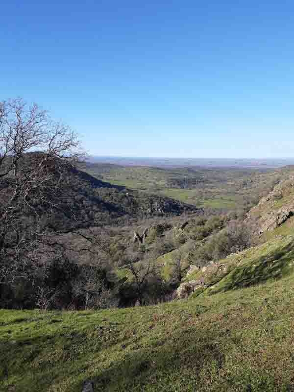 Dye Creek in Tehama County. Similar landscapes burned in the 2024 Park Fire. Very hot fires may result in hydrophobic soils. Laura Lukes