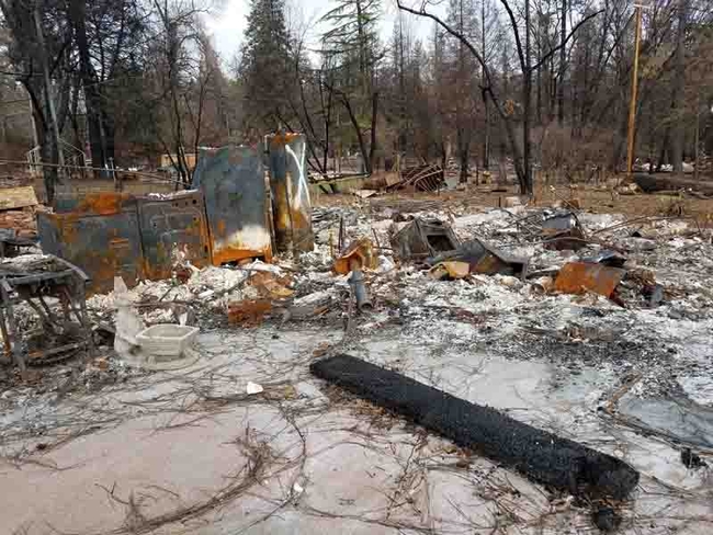 2018 Camp Fire in Paradise burned so hot soils became hydrophobic. Jeanette Alosi