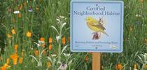 Neighborhood Habitat Certification is the topic of the first Master Gardener workshop this Fall. Altacal Audubon Society for The Real Dirt Blog Blog