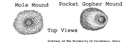 Mole and gopher mound comparison. UC, Davis