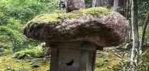 Stone lantern amid the moss at Sanzen-in garden in Ohara, northern Kyoto. J.C. Lawrence for The Real Dirt Blog Blog