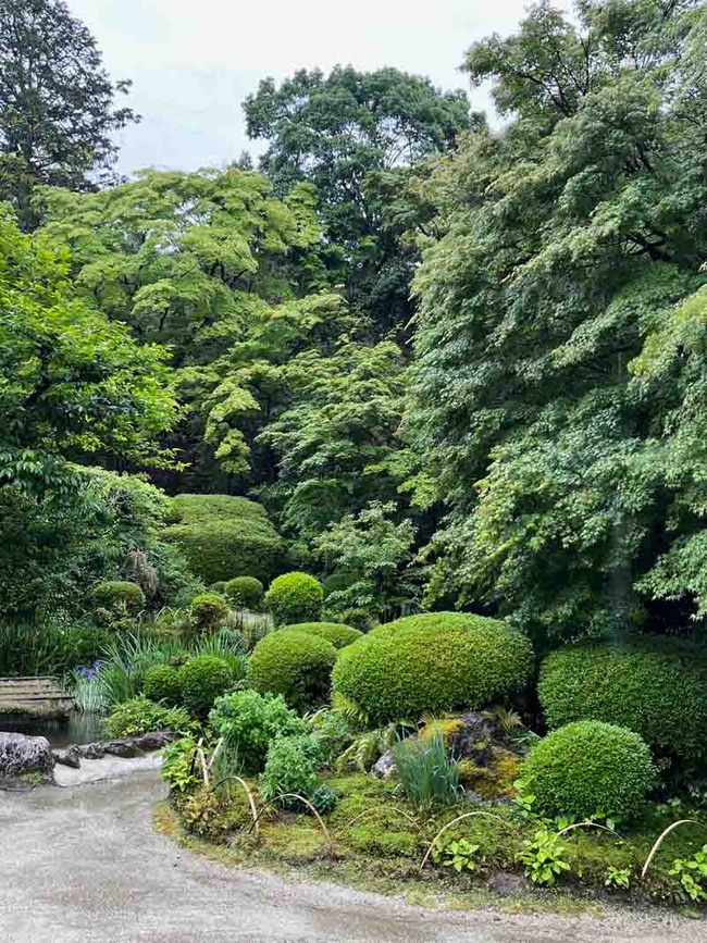 Many shades of green create a peaceful scene at Shisen-do garden in Kyoto. J.C. Lawrence