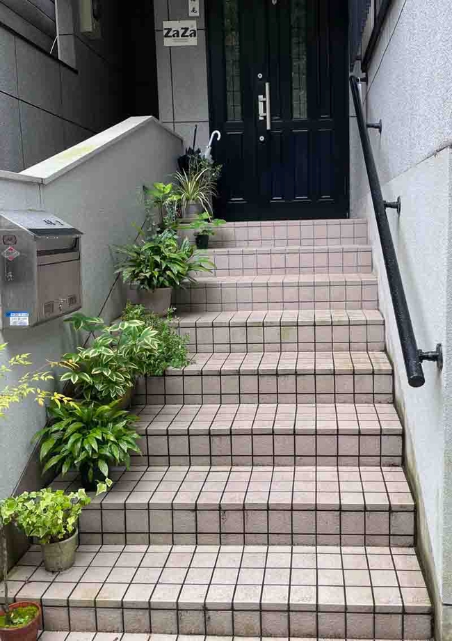 A dignified row of plants marches up the steps to the entrance of this business property in Kyoto. J.C. Lawrence