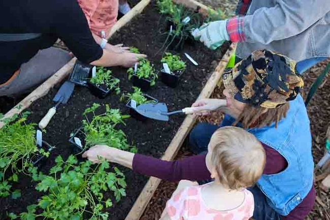 Young Children in the Garden event at Chapman Community Garden. Photo courtesty of CARD