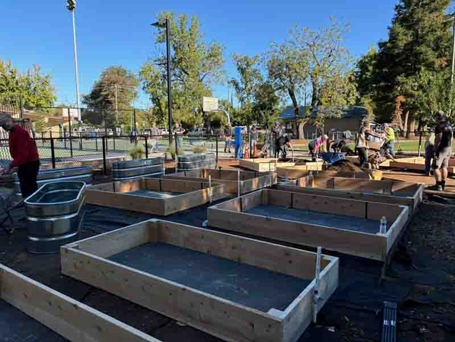 Completed raised beds built by the Chico Noon Rotary Club. Joyce Hill