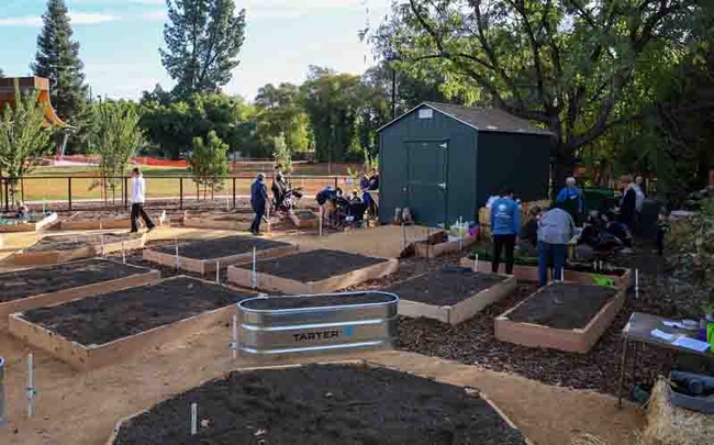 A neighborhood planting event at the newly-installed raised beds at Chapman Garden.  Photo courtesy of CARD