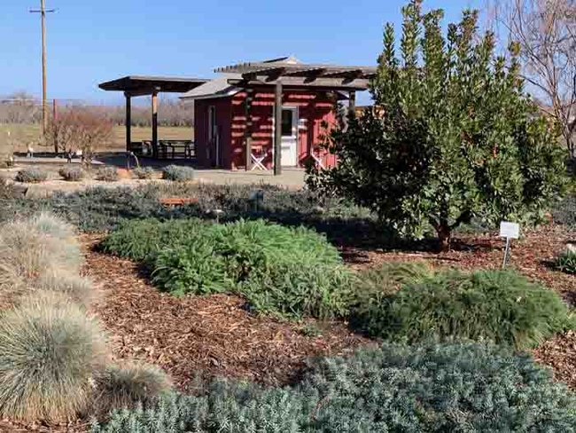 A winter scene of the Demonstration Garden's Berm Garden in the foreground, with outdoor classroom in the background. Laura Kling