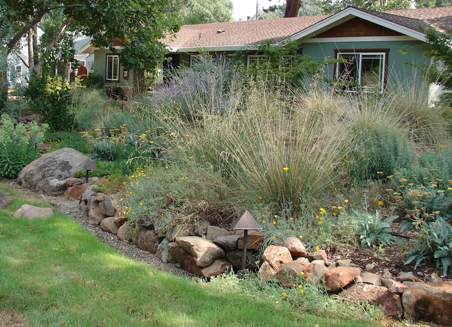 Front Yard with Native Plant by Eve Werner