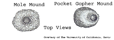 Comparison of Mole and Gopher Mounds