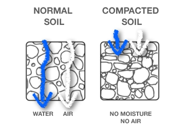 Soil Compaction Diagram