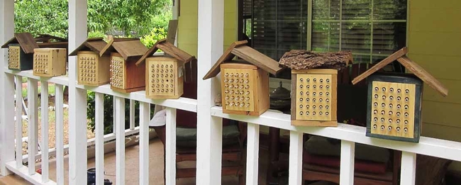 Bee Boxes by Tom Hansen
