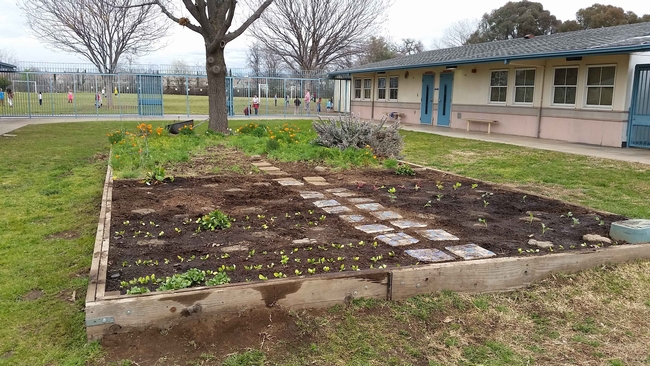 School garden, Little Chico Creek Elementary by Karina Hathorn