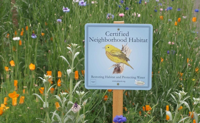 Neighborhood Habitat Certification Sign, Altacal Audubon Society