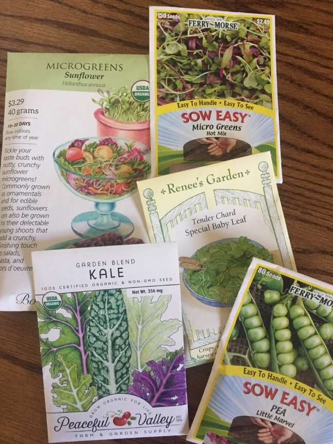 Microgreens seed packets, Kim Schwind